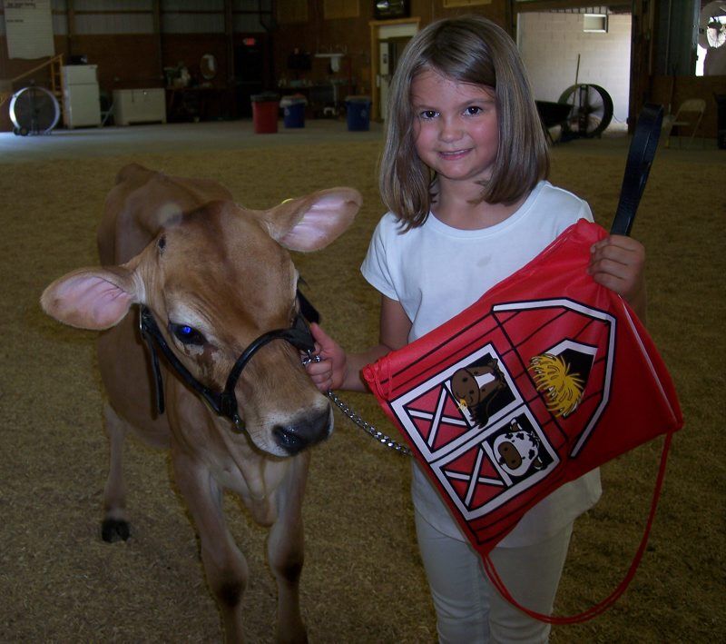 B-york-allbreeddairy-2.jpg